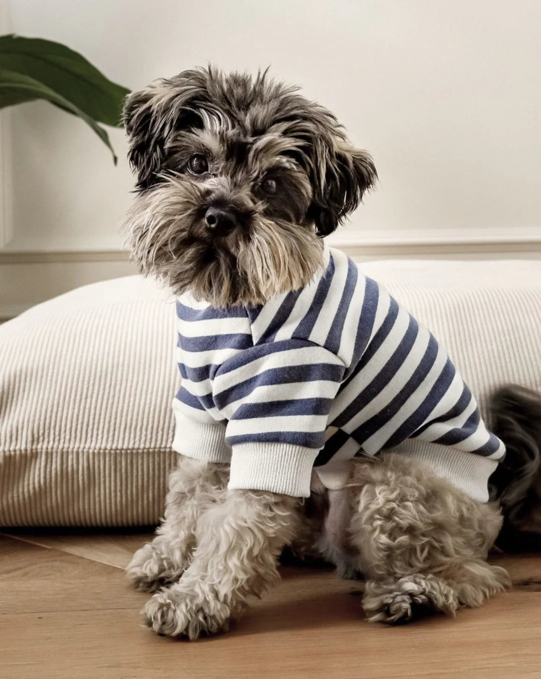 Polo Shirt for Small Dogs