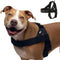 Dog Friendly Harness by Veyro