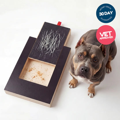 PlayNail Scratch Board by Veyro
