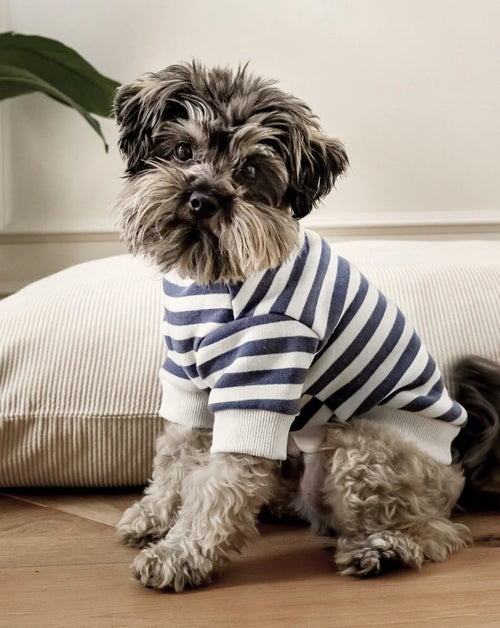 Polo Shirt for Small Dogs