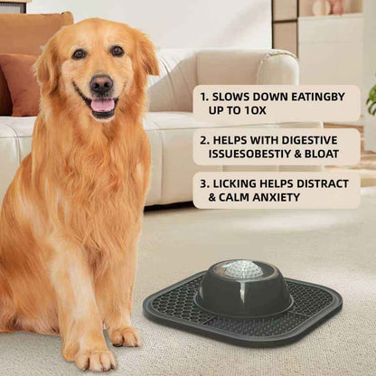 Slow Feeding Dog Bowl by Veyro