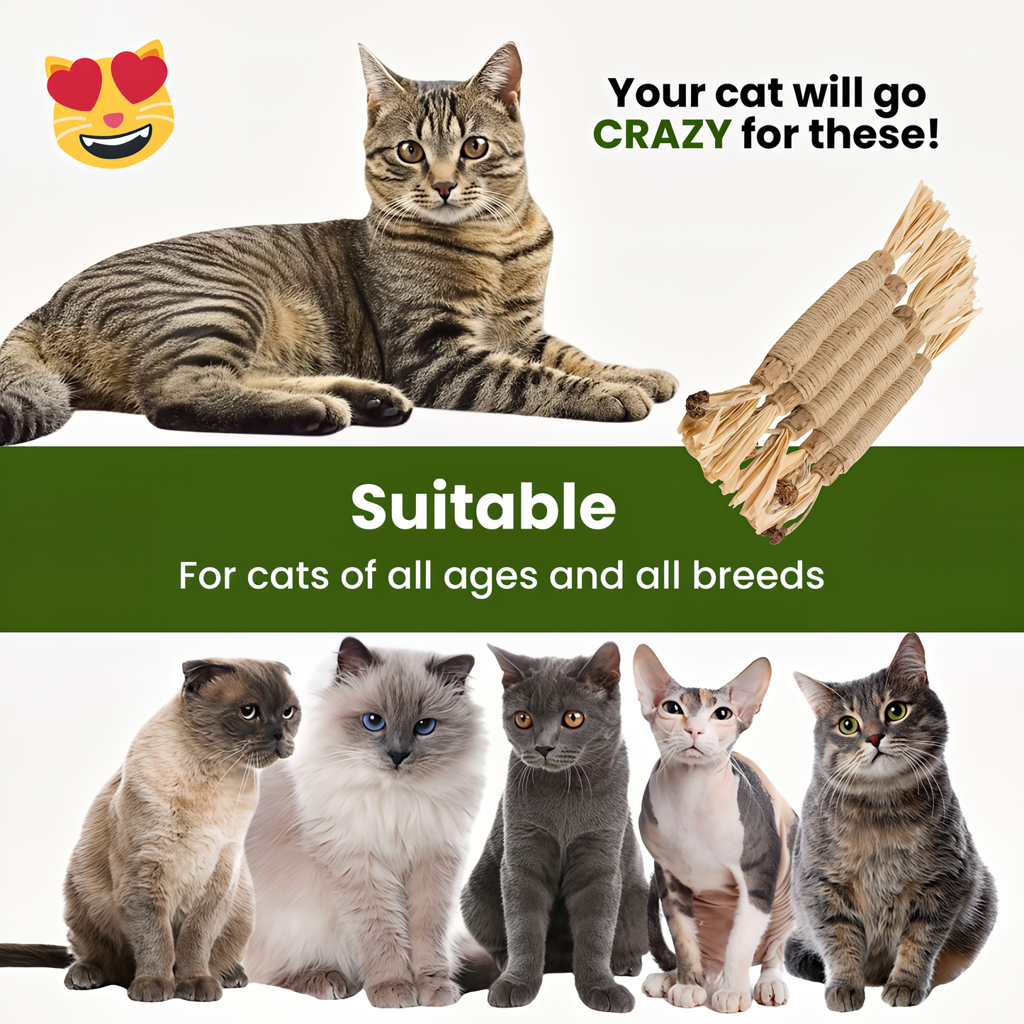 Natural Silvervine Dental Sticks for Cats by Veyro®