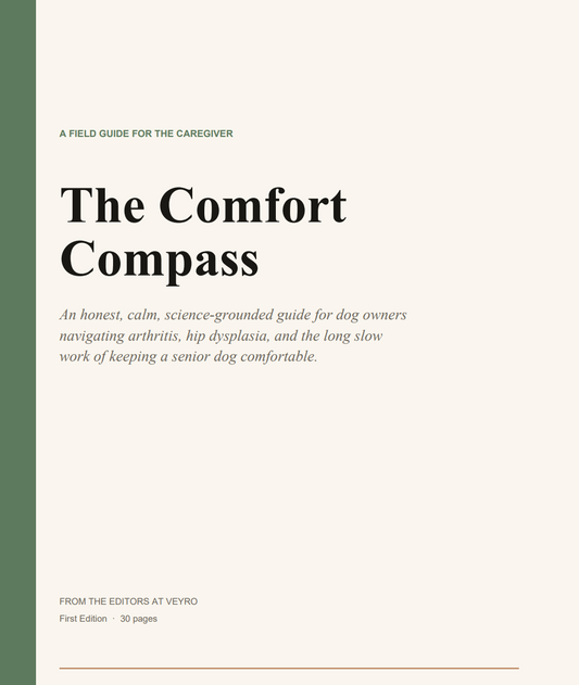 The Comfort Compass - A Guide to Joint Pain for Dog Owners