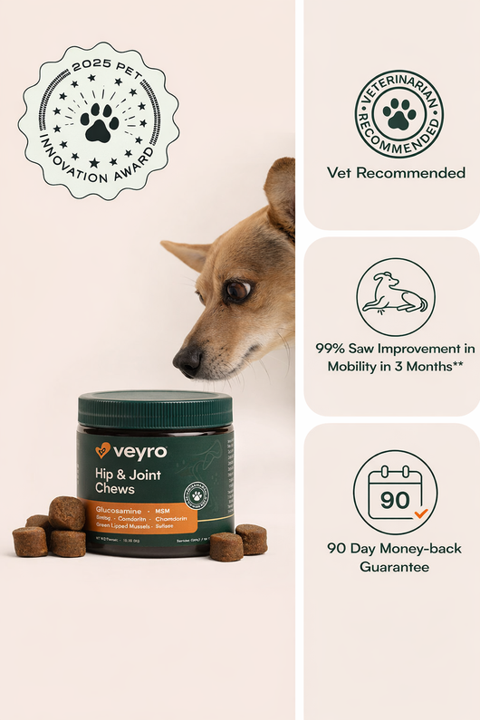 Hip and Joint Support Soft Chews 60 DAY SUPPLY