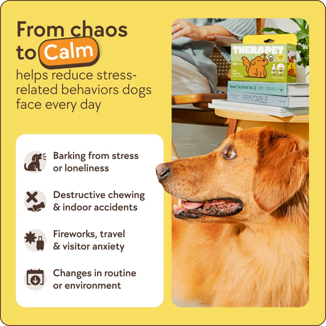 Pet Diffuser Kit by Veyro®
