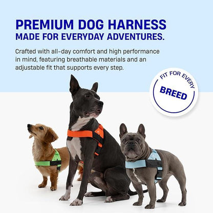 Dog Friendly Harness by Veyro