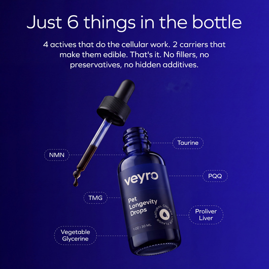 NAD+ Longevity Drops