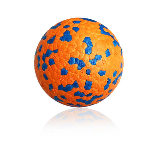 Indestructible Dog Toy Lottery #10