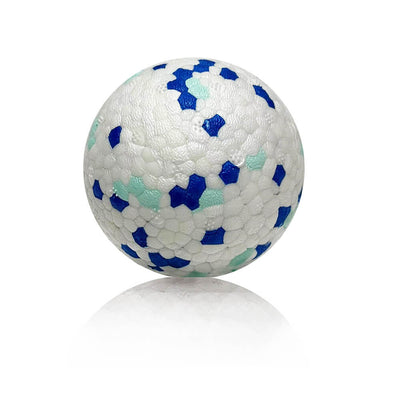 Indestructible Dog Toy Lottery #1