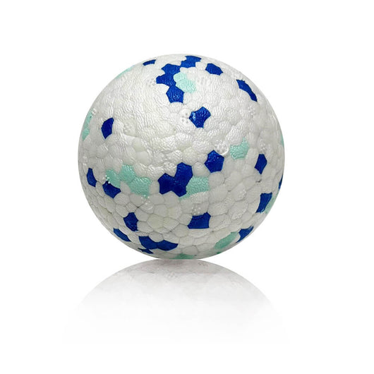 Indestructible Dog Toy Lottery #1
