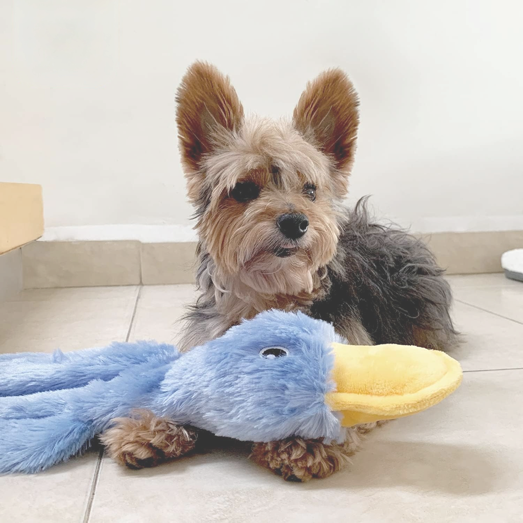 All your pet's needs in one place.
